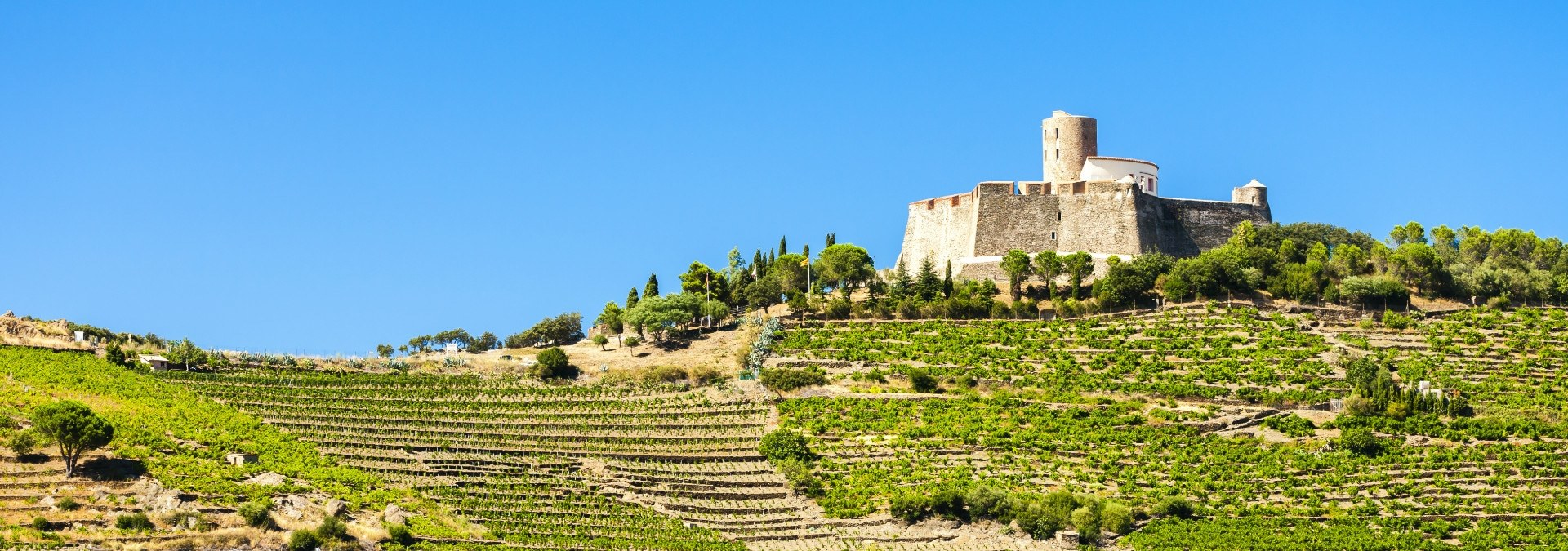 Languedoc