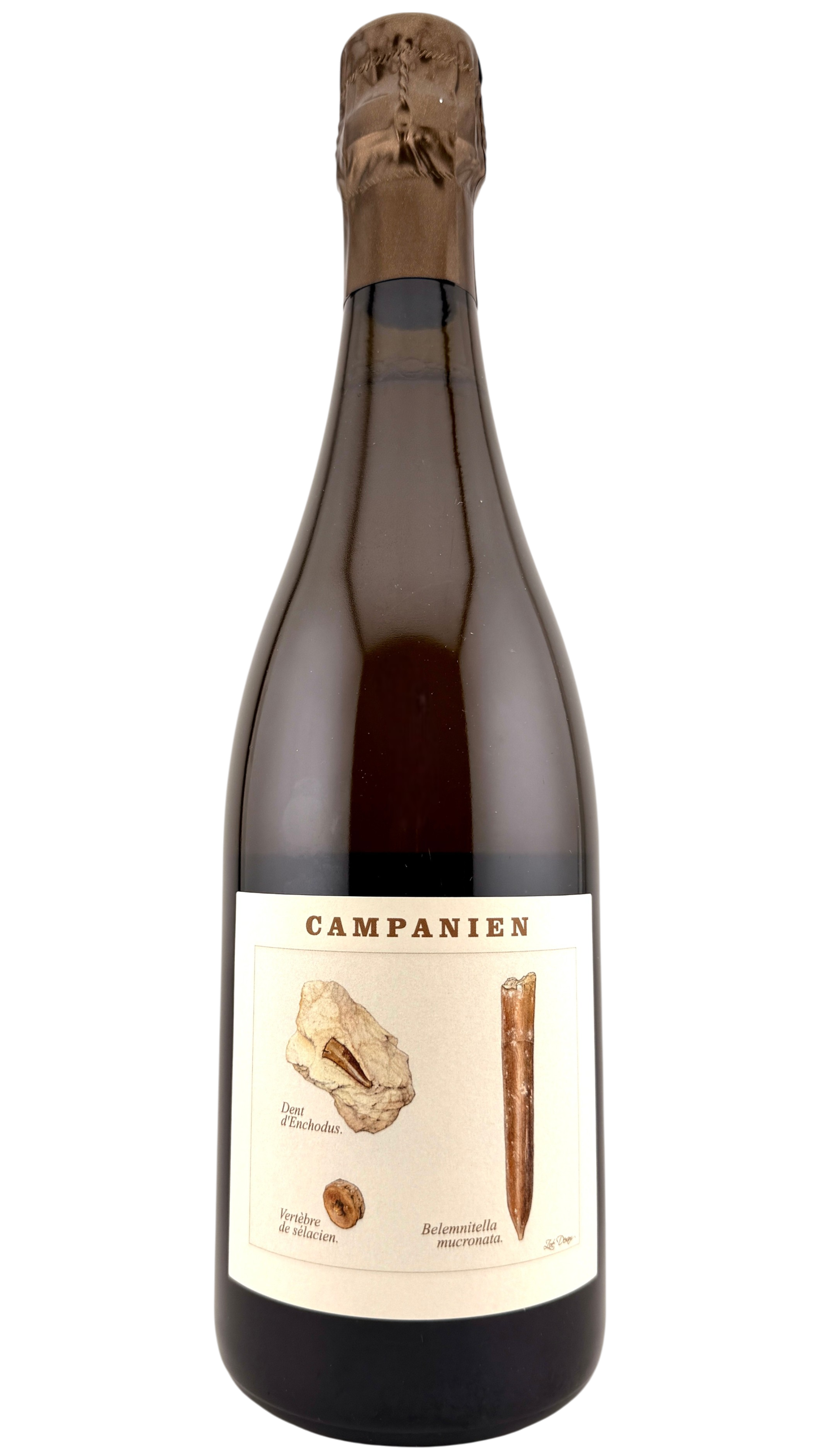 Champagne Campanien Thibault Legrand-Latour