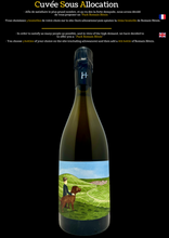 Charger l'image dans la galerie, Champagne Romain Hénin Le gamin du terroir