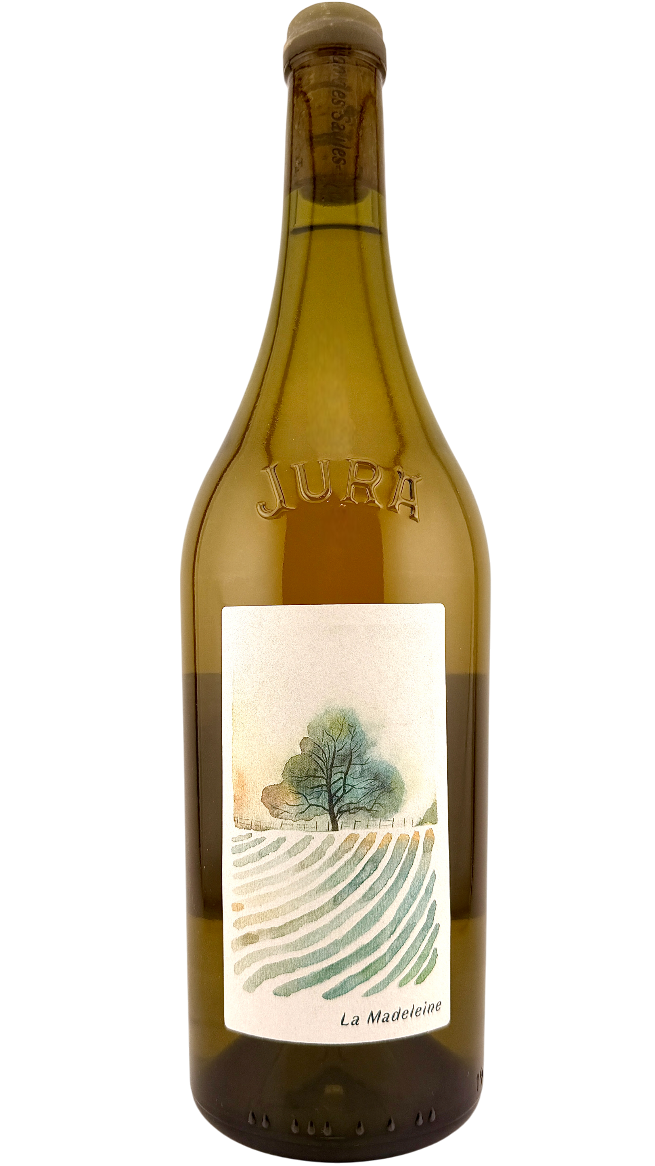 Côtes du Jura La Madeleine Maison des saules
