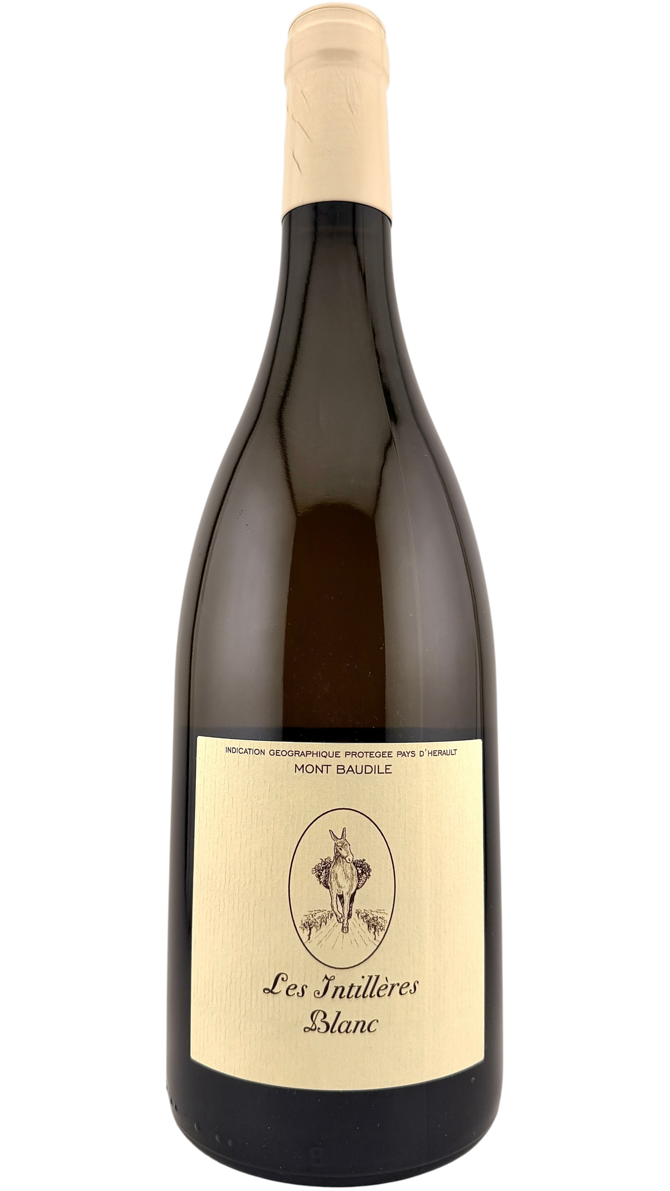 IGP Mont Baudile Les intillères blanc Domaine Supply Royer