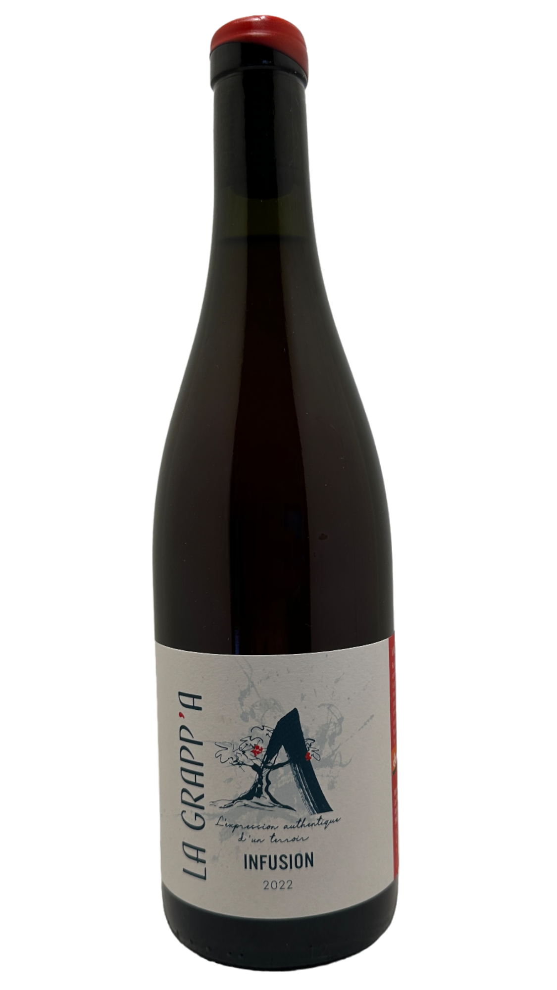 vin du jura wine organic bio biodynamie nature natural fabrice dodane domaine de saint pierre jean françois ganevat domaine ganevat aurélie parlat vin de france infusion rouge vin rouge red wine pinot noir