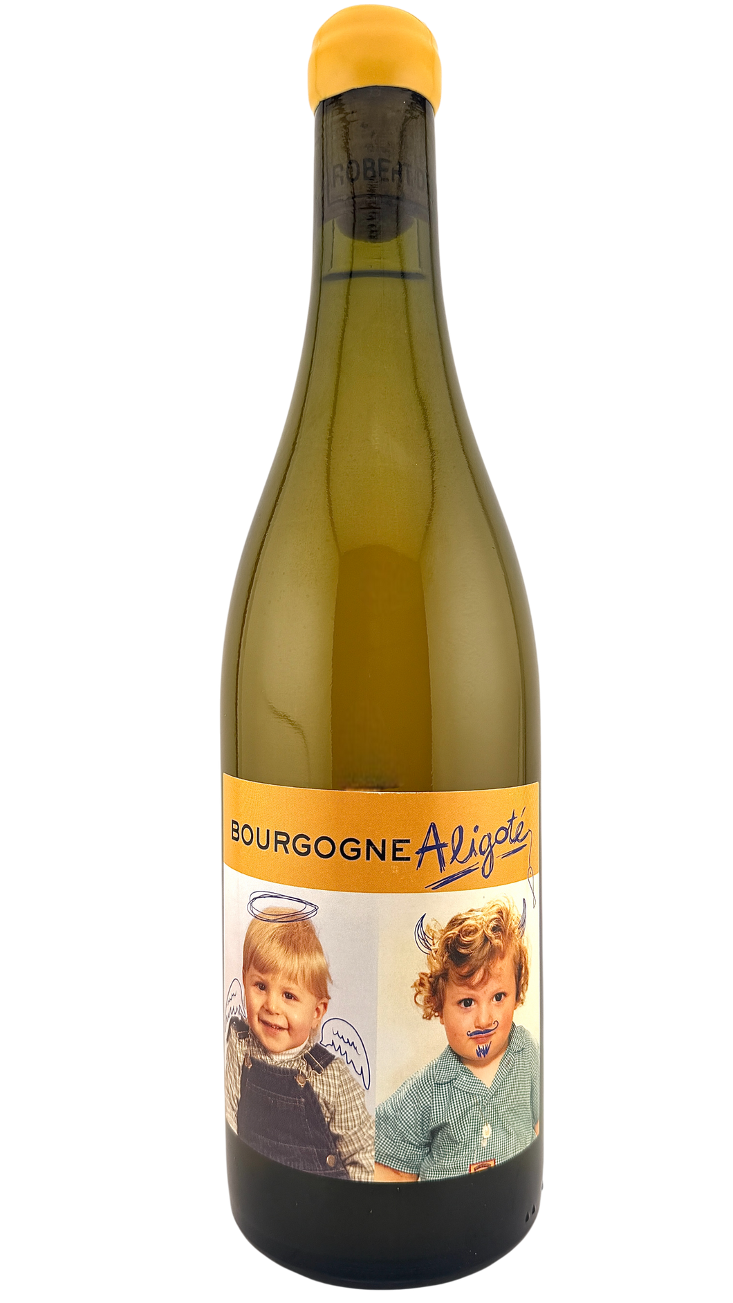 Bourgogne aligoté Domaine Robert Denogent