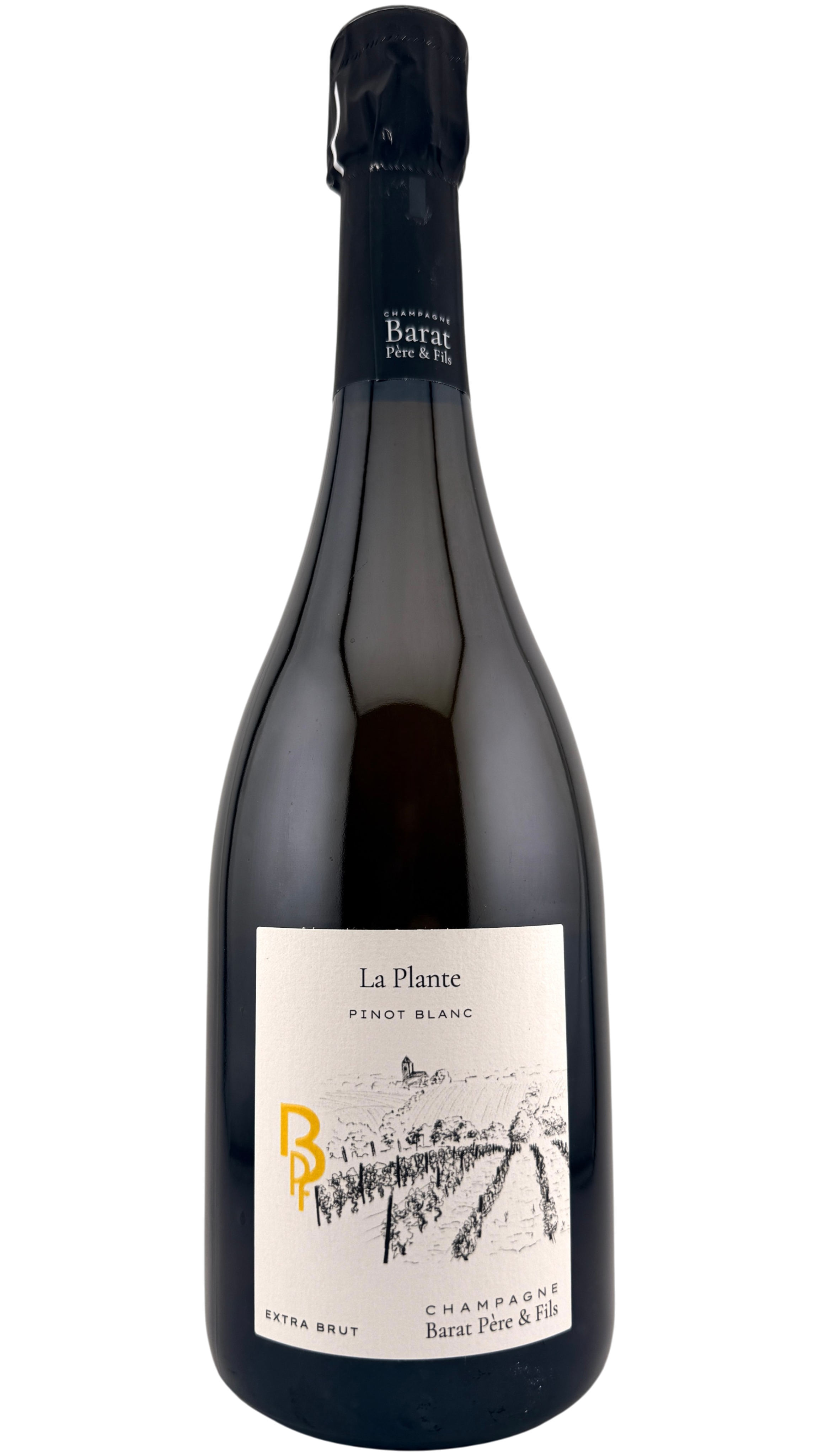 Champagne "La plante"