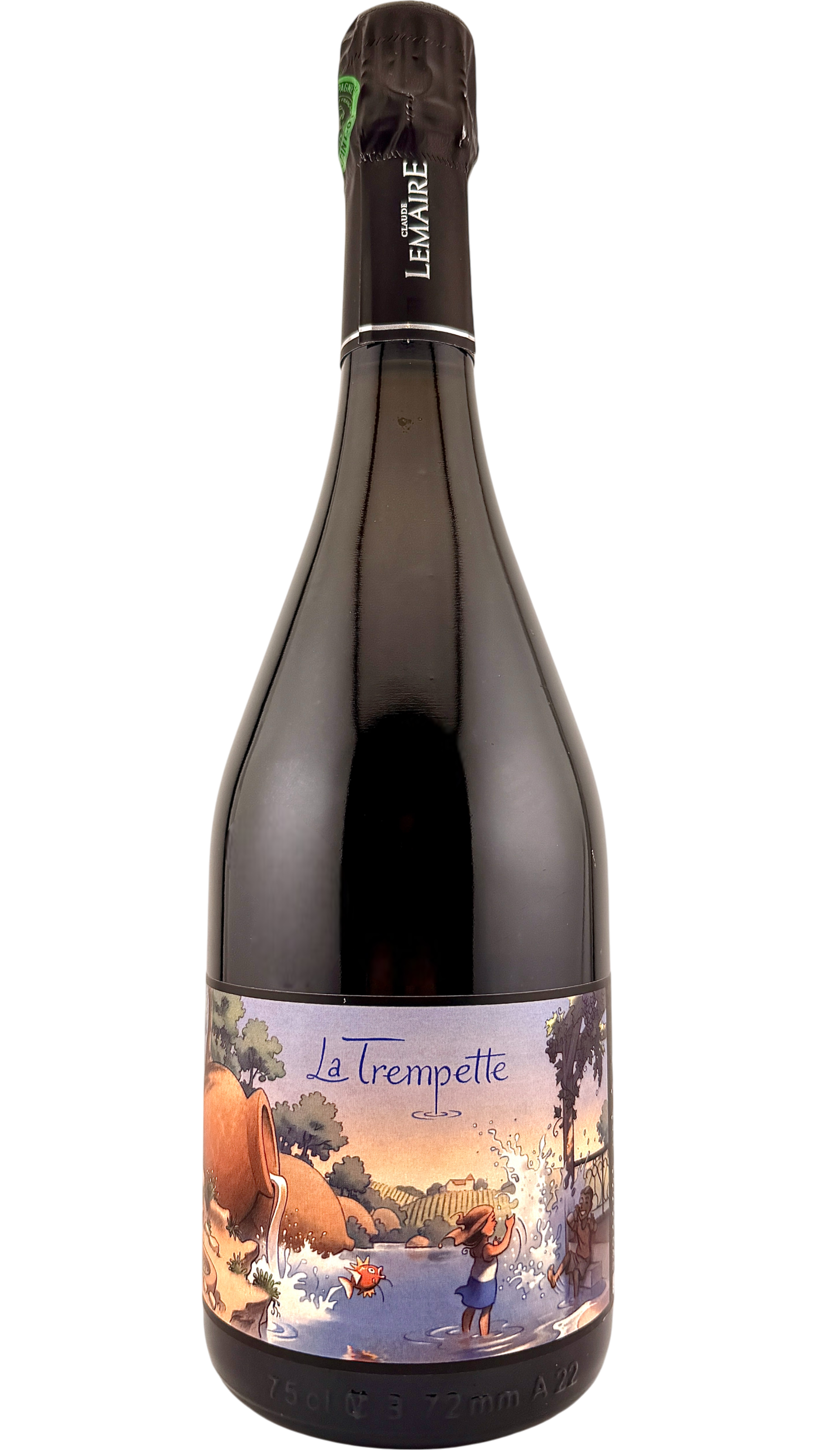 Champagne La Trempette Aurélien Lemaire sparkling wine vin naturel bio biodynamie vin naturel natural wine organic vallée de la marne pinot noir pinot meunier pinot gris chardonnay qvevri amphore