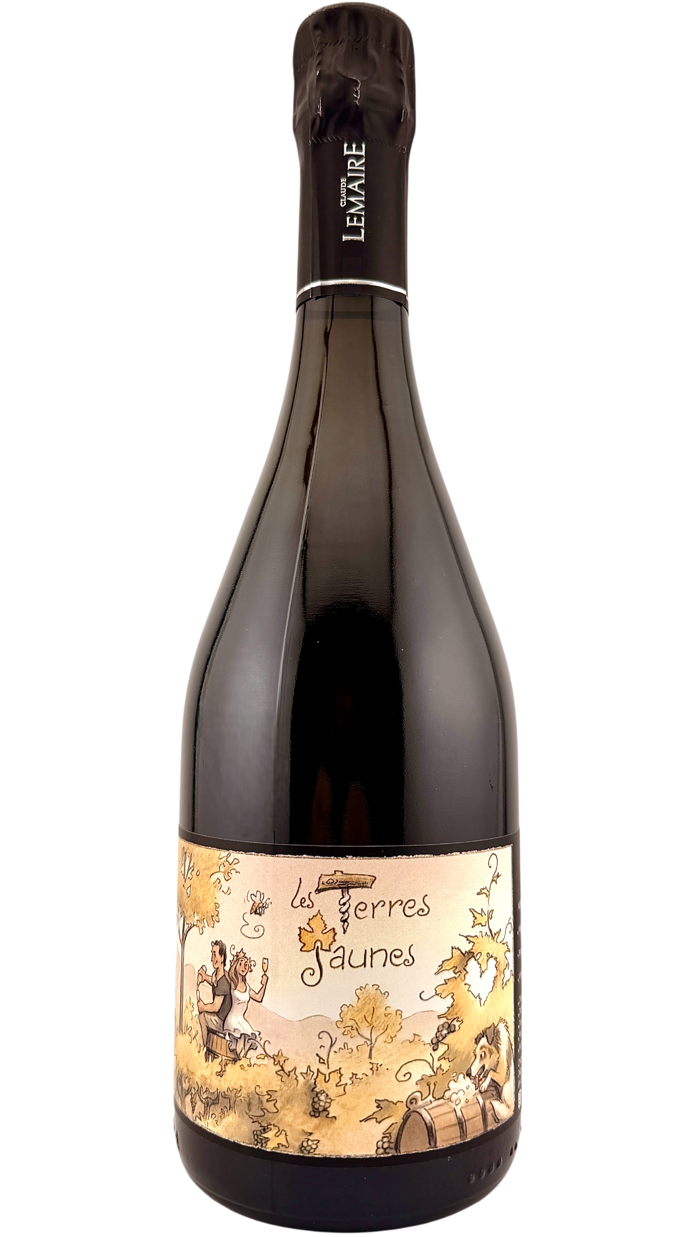 Champagne Les Terres Jaune Aurélien Lemaire sparkling wine vin naturel bio biodynamie vin naturel natural wine organic vallée de la marne chardonnay