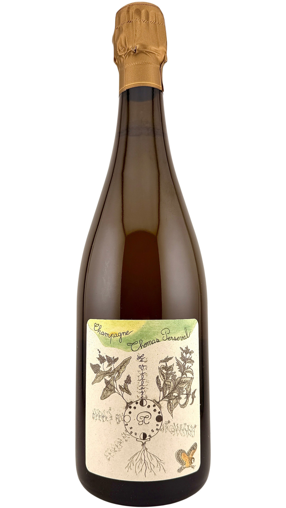 Champagne "Le village"