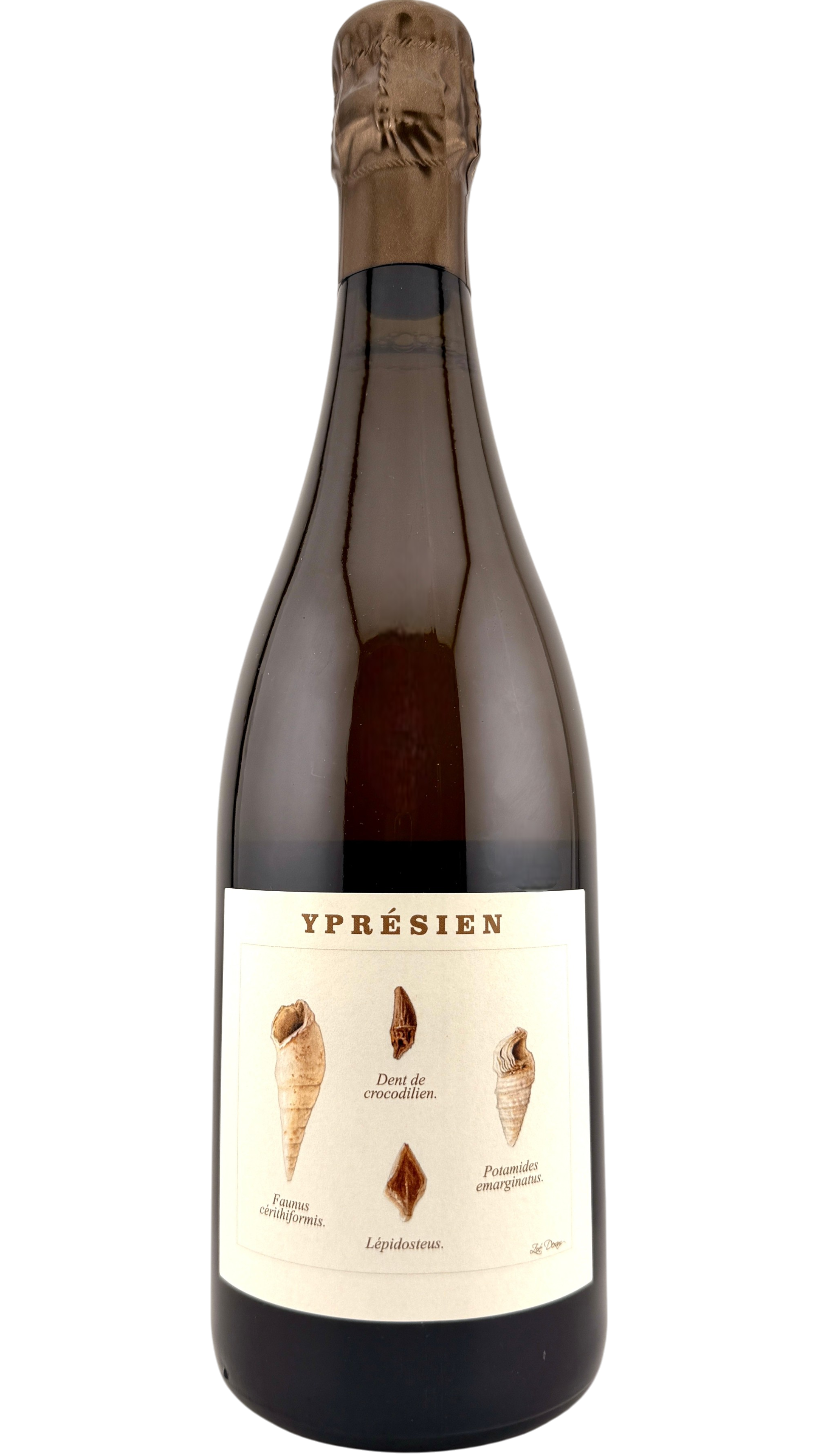 Champagne Yprésien Thibault Legrand-Latour