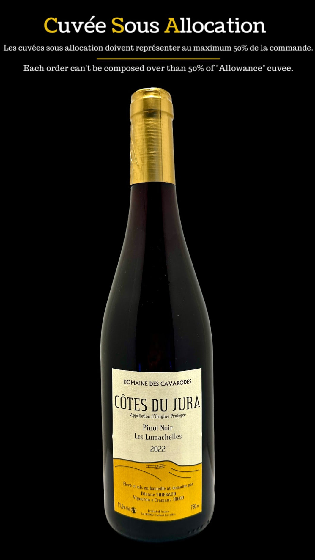 Côtes du jura  Pinot noir Les Lumachelles 2022 Domaine des cavarodes 