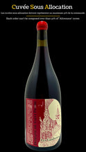 将图片加载到图库查看器，Côtes du jura les gaudrettes pinot noir Magnum Fabrice Dodane Domaine Saint pierre
