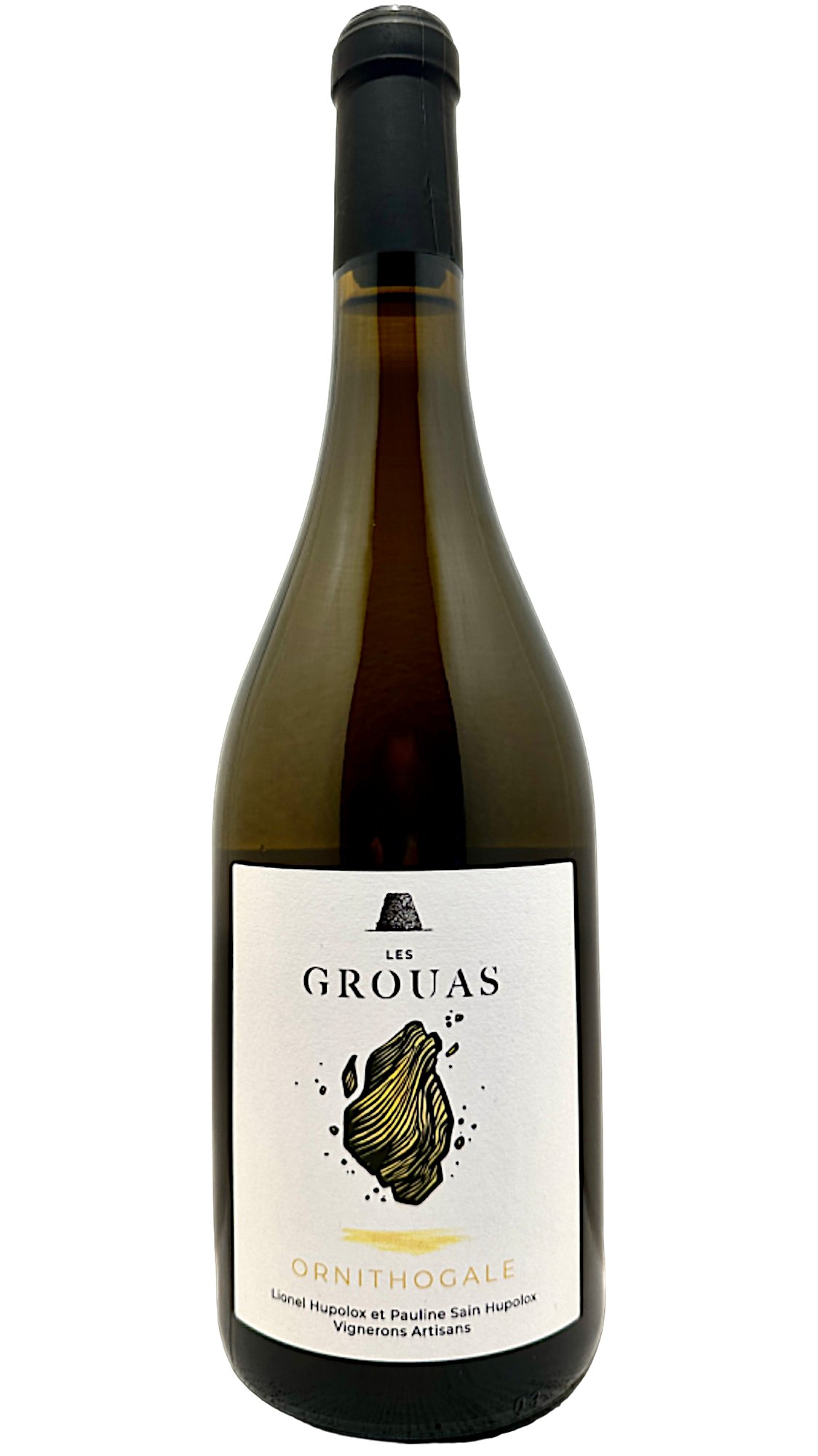 Ornithogale  Anjou  domaine des grouas