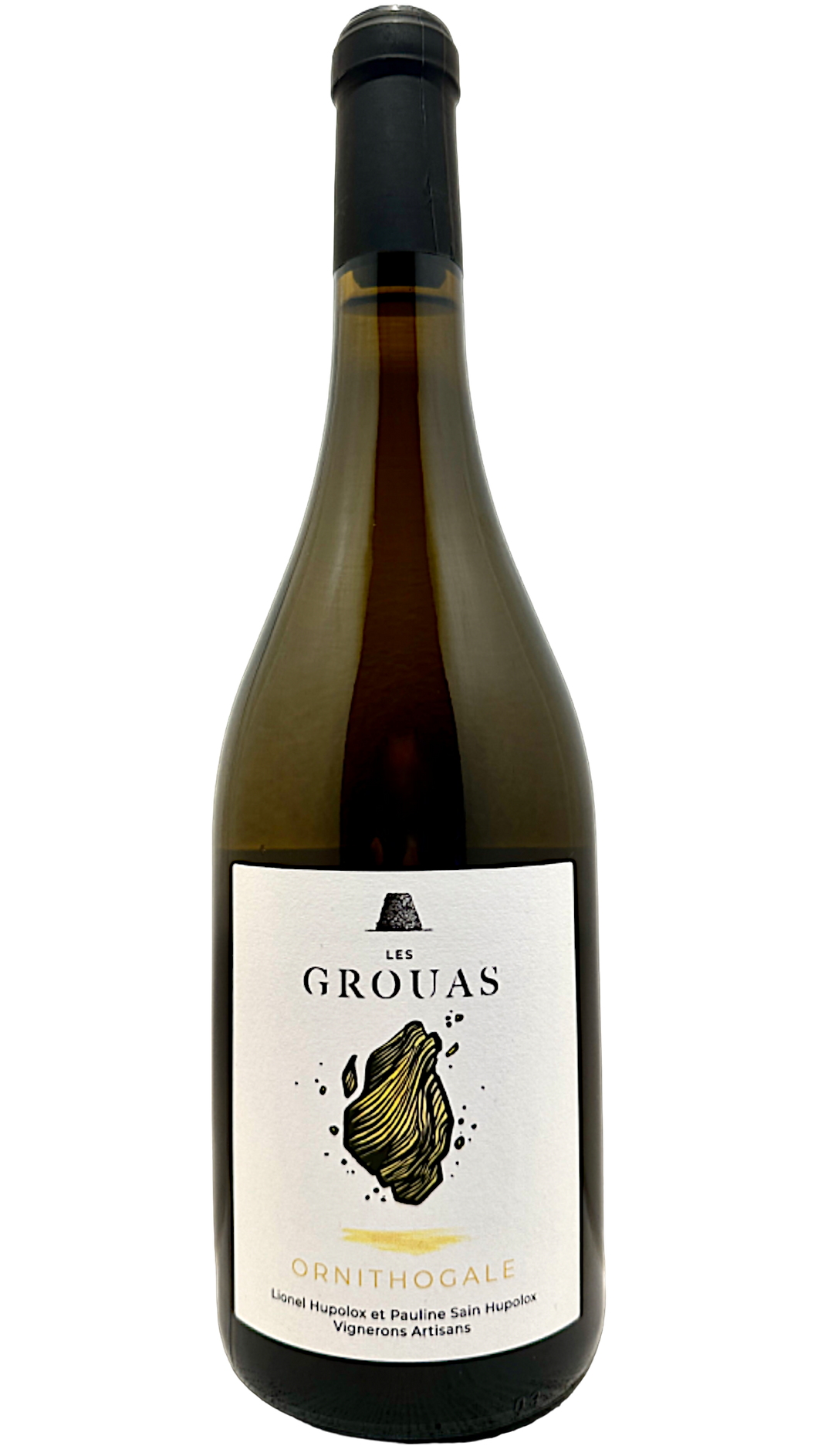 Ornithogale  Anjou  domaine des grouas