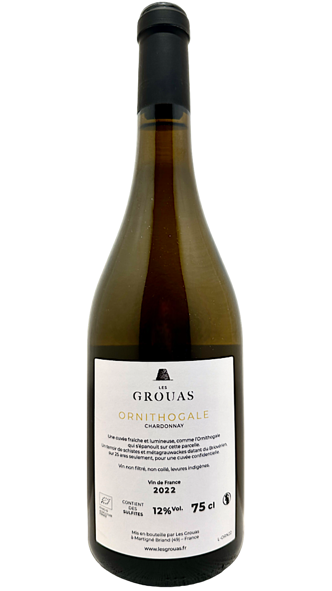 Ornithogale  Anjou  domaine des grouas