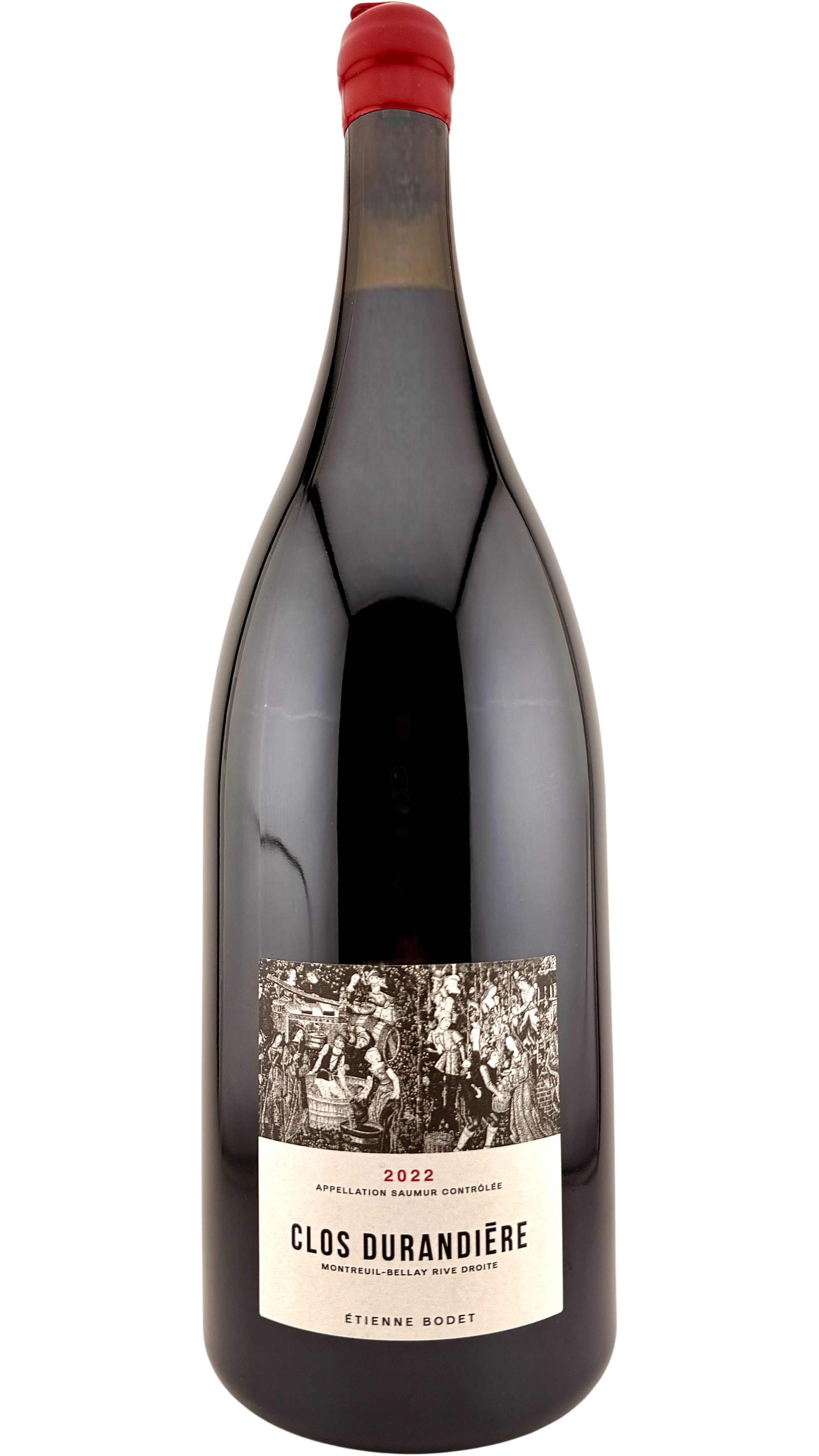 Saumur Clos durandière Etienne bodet vin rouge de la vallée de loire valley red wine clos rougeard cabernet franc grappes bio biodynamie organic vin naturel natural wine