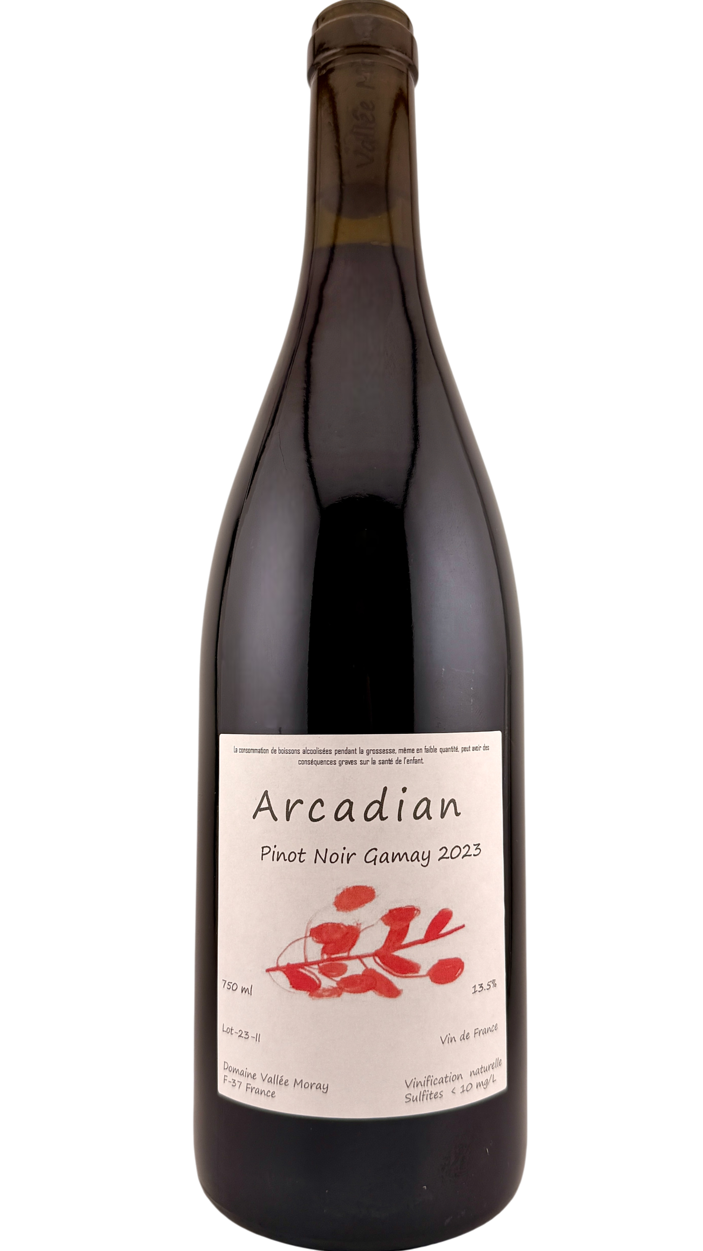Vin de France Arcadian Domaine Vallée Moray vin rouge de la vallée de la loire red wine from loire valley pinot noir gamay organic wine biodynamie bio natural wine hervé grenier
