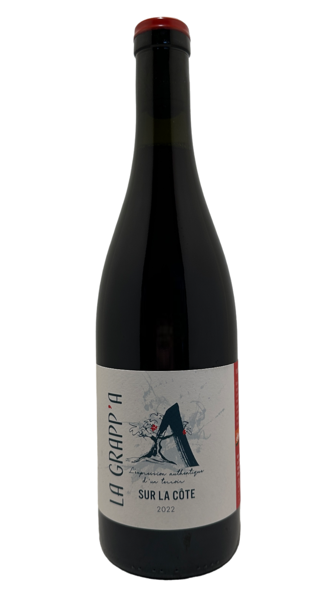 vin du jura wine organic bio biodynamie nature natural fabrice dodane domaine de saint pierre jean françois ganevat domaine ganevat aurélie parlat vin de france sur la côte pinot noir red wine vin rouge