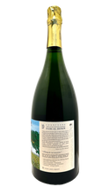 Load image into Gallery viewer, champagne extra-brut l&#39;étang de nos souvenirs domaine hénin pascal henin romain henin organic biodynamie bio nature wine sparkling
